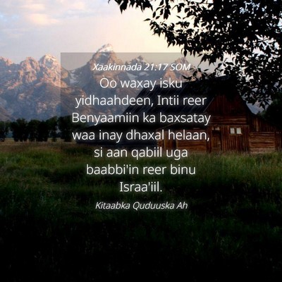 Picture 04 - Xaakinnada 21:17 SOM - Oo waxay isku yidhaahdeen, Intii reer Benyaamiin - Bible Verse Picture