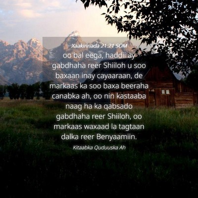 Picture 04 - Xaakinnada 21:21 SOM - oo bal eega, haddii ay gabdhaha reer Shiiloh u - Bible Verse Picture