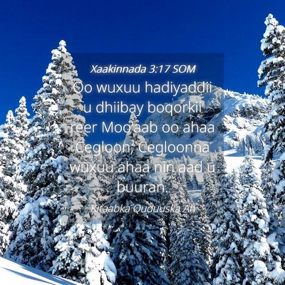 Picture 04 - Xaakinnada 3:17 SOM - Oo wuxuu hadiyaddii u dhiibay boqorkii reer - Bible Verse Picture