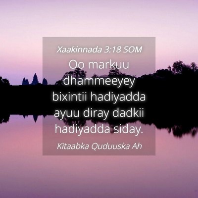 Picture 04 - Xaakinnada 3:18 SOM - Oo markuu dhammeeyey bixintii hadiyadda ayuu - Bible Verse Picture