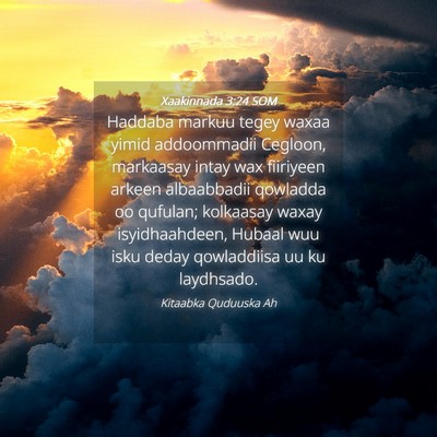 Picture 04 - Xaakinnada 3:24 SOM - Haddaba markuu tegey waxaa yimid addoommadii - Bible Verse Picture