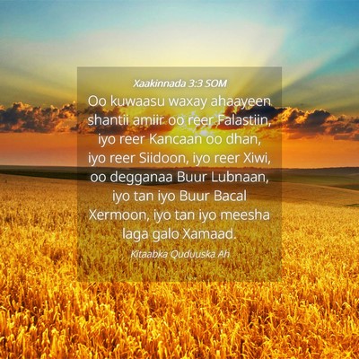 Picture 04 - Xaakinnada 3:3 SOM - Oo kuwaasu waxay ahaayeen shantii amiir oo reer - Bible Verse Picture