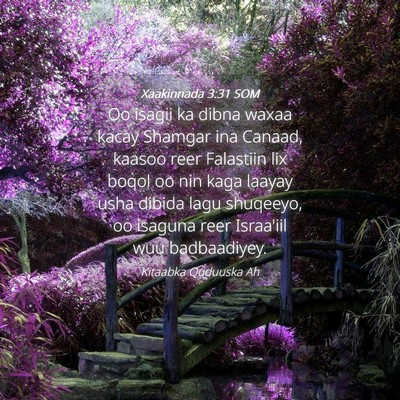 Picture 04 - Xaakinnada 3:31 SOM - Oo isagii ka dibna waxaa kacay Shamgar ina - Bible Verse Picture
