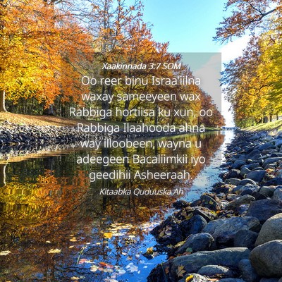 Picture 04 - Xaakinnada 3:7 SOM - Oo reer binu Israa'iilna waxay sameeyeen wax - Bible Verse Picture