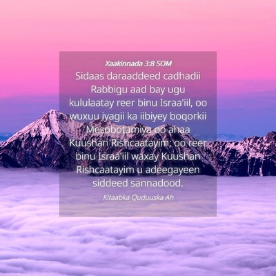 Picture 04 - Xaakinnada 3:8 SOM - Sidaas daraaddeed cadhadii Rabbigu aad bay ugu - Bible Verse Picture