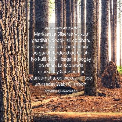 Picture 04 - Xaakinnada 4:13 SOM - Markaasaa Siiseraa wuxuu gaadhifardoodkiisii oo - Bible Verse Picture
