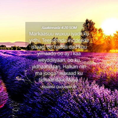 Picture 04 - Xaakinnada 4:20 SOM - Markaasuu wuxuu iyadii ku yidhi, Teendhada - Bible Verse Picture