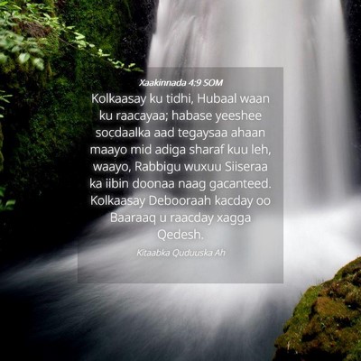 Picture 04 - Xaakinnada 4:9 SOM - Kolkaasay ku tidhi, Hubaal waan ku raacayaa; - Bible Verse Picture