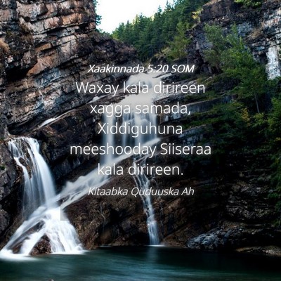 Picture 04 - Xaakinnada 5:20 SOM - Waxay kala dirireen xagga samada, Xiddiguhuna - Bible Verse Picture