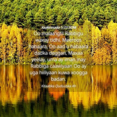 Picture 04 - Xaakinnada 5:23 SOM - Oo malaa'igtii Rabbigu waxay tidhi, Meeroos - Bible Verse Picture
