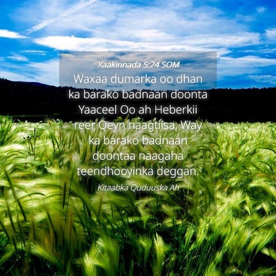 Picture 04 - Xaakinnada 5:24 SOM - Waxaa dumarka oo dhan ka barako badnaan doonta - Bible Verse Picture