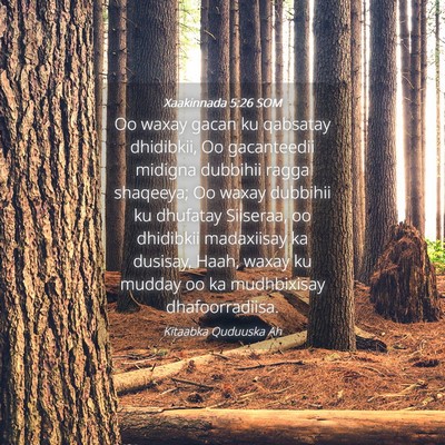 Picture 04 - Xaakinnada 5:26 SOM - Oo waxay gacan ku qabsatay dhidibkii, Oo - Bible Verse Picture