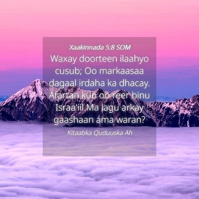Picture 04 - Xaakinnada 5:8 SOM - Waxay doorteen ilaahyo cusub; Oo markaasaa dagaal - Bible Verse Picture