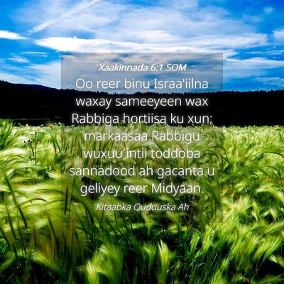 Picture 04 - Xaakinnada 6:1 SOM - Oo reer binu Israa'iilna waxay sameeyeen wax - Bible Verse Picture
