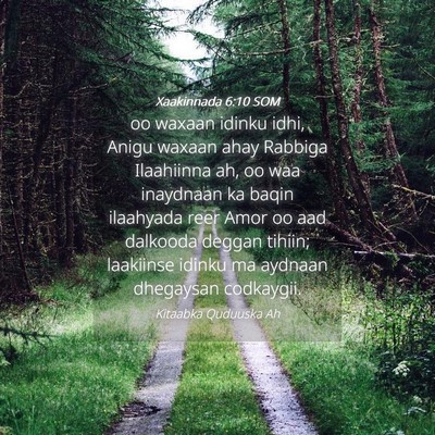Picture 04 - Xaakinnada 6:10 SOM - oo waxaan idinku idhi, Anigu waxaan ahay Rabbiga - Bible Verse Picture