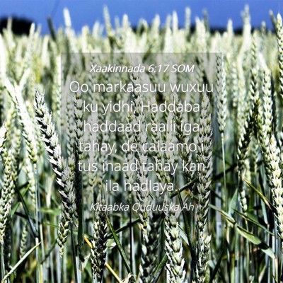 Picture 04 - Xaakinnada 6:17 SOM - Oo markaasuu wuxuu ku yidhi, Haddaba haddaad - Bible Verse Picture