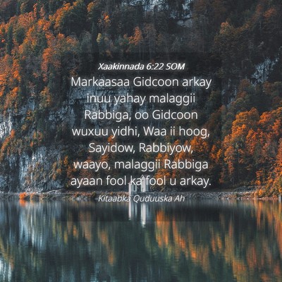 Picture 04 - Xaakinnada 6:22 SOM - Markaasaa Gidcoon arkay inuu yahay malaggii - Bible Verse Picture