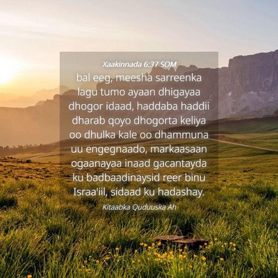 Picture 04 - Xaakinnada 6:37 SOM - bal eeg, meesha sarreenka lagu tumo ayaan - Bible Verse Picture