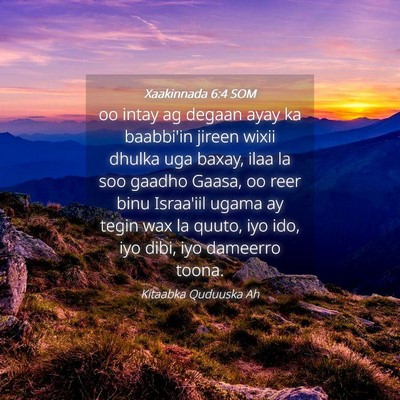Picture 04 - Xaakinnada 6:4 SOM - oo intay ag degaan ayay ka baabbi'in jireen wixii - Bible Verse Picture