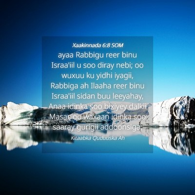 Picture 04 - Xaakinnada 6:8 SOM - ayaa Rabbigu reer binu Israa'iil u soo diray - Bible Verse Picture