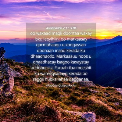 Picture 04 - Xaakinnada 7:11 SOM - oo waxaad maqli doontaa waxay isku leeyihiin; oo - Bible Verse Picture