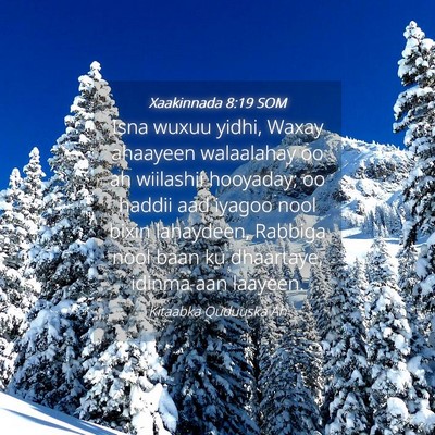 Picture 04 - Xaakinnada 8:19 SOM - Isna wuxuu yidhi, Waxay ahaayeen walaalahay oo ah - Bible Verse Picture