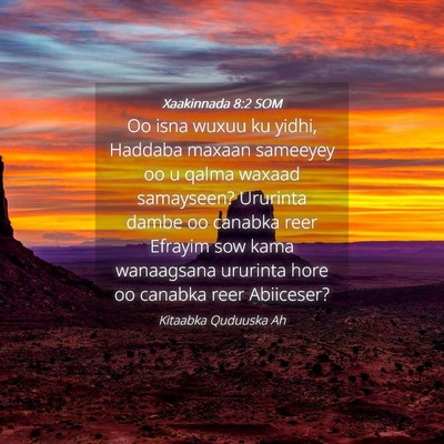 Picture 04 - Xaakinnada 8:2 SOM - Oo isna wuxuu ku yidhi, Haddaba maxaan sameeyey - Bible Verse Picture