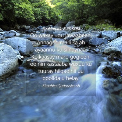 Picture 04 - Xaakinnada 8:25 SOM - Oo waxay ugu jawaabeen, Annagoo raalli ka ah - Bible Verse Picture