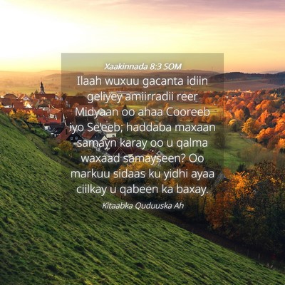 Picture 04 - Xaakinnada 8:3 SOM - Ilaah wuxuu gacanta idiin geliyey amiirradii reer - Bible Verse Picture