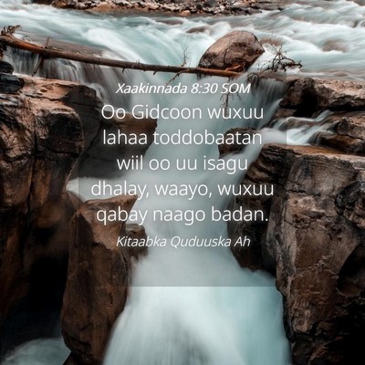 Picture 04 - Xaakinnada 8:30 SOM - Oo Gidcoon wuxuu lahaa toddobaatan wiil oo uu - Bible Verse Picture