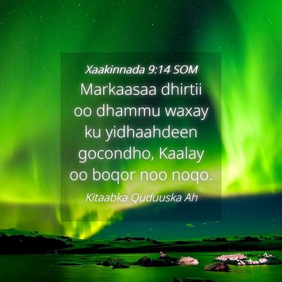 Picture 04 - Xaakinnada 9:14 SOM - Markaasaa dhirtii oo dhammu waxay ku yidhaahdeen - Bible Verse Picture