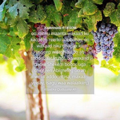 Picture 04 - Xaakinnada 9:18 SOM - oo idinku maanta waxaad ku kacdeen reerkii - Bible Verse Picture