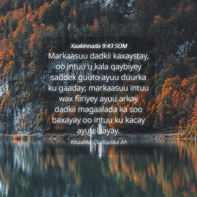 Picture 04 - Xaakinnada 9:43 SOM - Markaasuu dadkii kaxaystay, oo intuu u kala - Bible Verse Picture