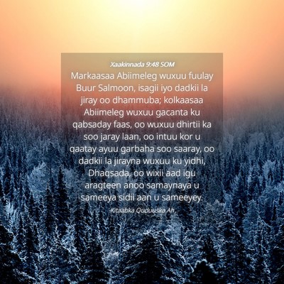 Picture 04 - Xaakinnada 9:48 SOM - Markaasaa Abiimeleg wuxuu fuulay Buur Salmoon, - Bible Verse Picture