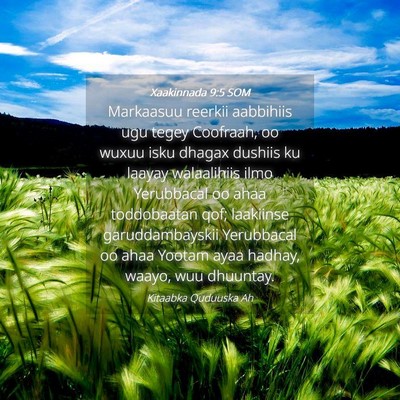 Picture 04 - Xaakinnada 9:5 SOM - Markaasuu reerkii aabbihiis ugu tegey Coofraah, - Bible Verse Picture