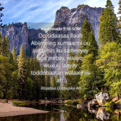 Picture 04 - Xaakinnada 9:56 SOM - Oo sidaasaa Ilaah Abiimeleg xumaantii uu - Bible Verse Picture