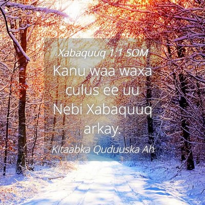 Picture 04 - Xabaquuq 1:1 SOM - Kanu waa waxa culus ee uu Nebi Xabaquuq - Bible Verse Picture