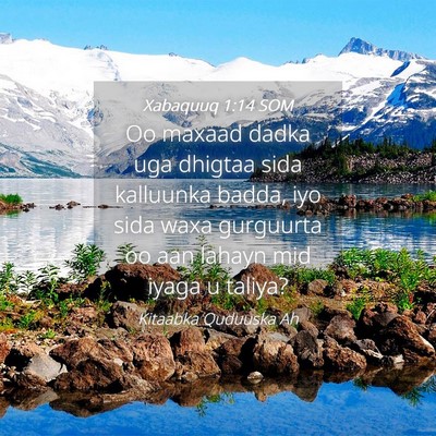 Picture 04 - Xabaquuq 1:14 SOM - Oo maxaad dadka uga dhigtaa sida kalluunka badda, - Bible Verse Picture