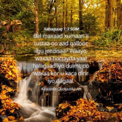 Picture 04 - Xabaquuq 1:3 SOM - Bal maxaad xumaan ii tustaa oo aad qallooc iigu - Bible Verse Picture