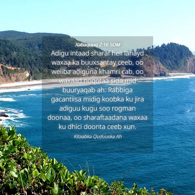 Picture 04 - Xabaquuq 2:16 SOM - Adigu intaad sharaf heli lahayd waxaa ka - Bible Verse Picture