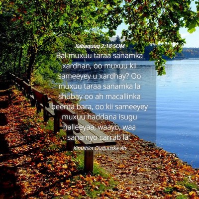 Picture 04 - Xabaquuq 2:18 SOM - Bal muxuu taraa sanamka xardhan, oo muxuu kii - Bible Verse Picture