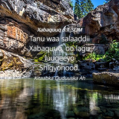 Picture 04 - Xabaquuq 3:1 SOM - Tanu waa salaaddii Xabaquuq, oo lagu luuqeeyo - Bible Verse Picture