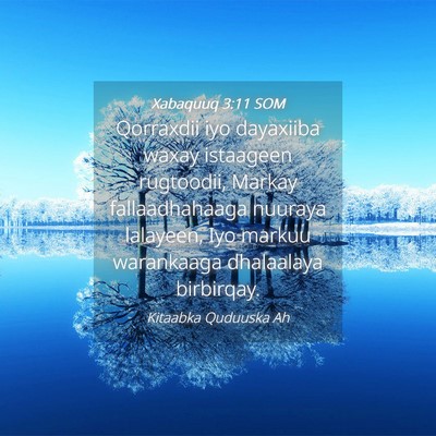 Picture 04 - Xabaquuq 3:11 SOM - Qorraxdii iyo dayaxiiba waxay istaageen - Bible Verse Picture
