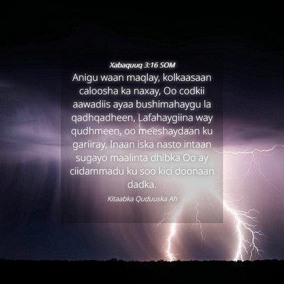Picture 04 - Xabaquuq 3:16 SOM - Anigu waan maqlay, kolkaasaan caloosha ka naxay, - Bible Verse Picture