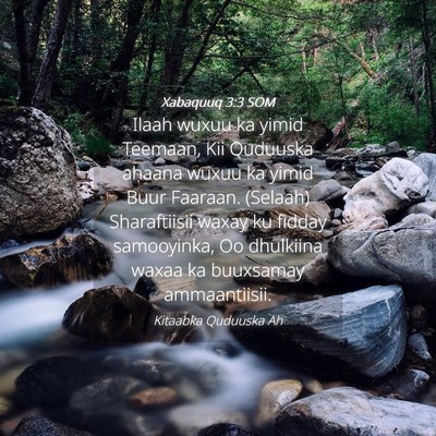 Picture 04 - Xabaquuq 3:3 SOM - Ilaah wuxuu ka yimid Teemaan, Kii Quduuska ahaana - Bible Verse Picture