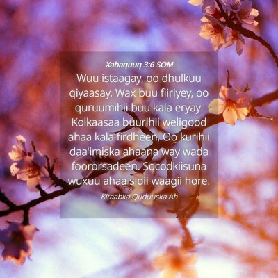 Picture 04 - Xabaquuq 3:6 SOM - Wuu istaagay, oo dhulkuu qiyaasay, Wax buu - Bible Verse Picture