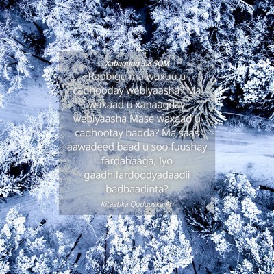 Picture 04 - Xabaquuq 3:8 SOM - Rabbigu ma wuxuu u cadhooday webiyaasha? Ma - Bible Verse Picture