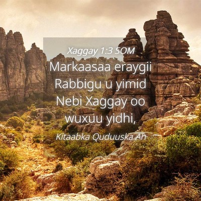 Picture 04 - Xaggay 1:3 SOM - Markaasaa eraygii Rabbigu u yimid Nebi Xaggay oo - Bible Verse Picture
