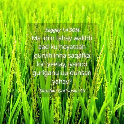 Picture 04 - Xaggay 1:4 SOM - Ma idiin tahay wakhti aad ku hoyataan guryihiinna - Bible Verse Picture