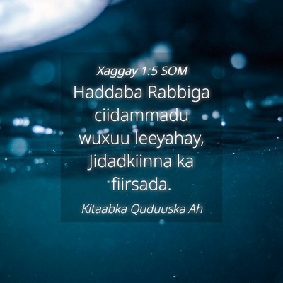 Picture 04 - Xaggay 1:5 SOM - Haddaba Rabbiga ciidammadu wuxuu leeyahay, - Bible Verse Picture